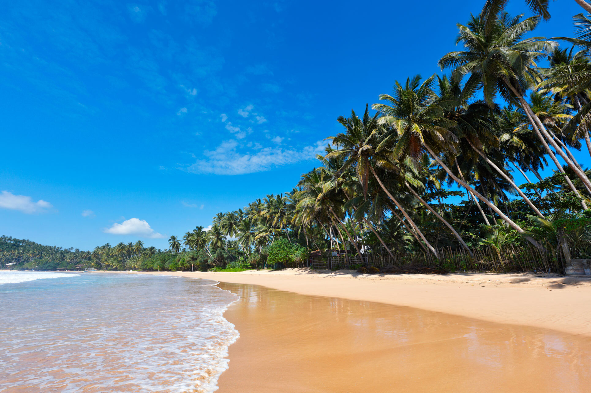Beach-life