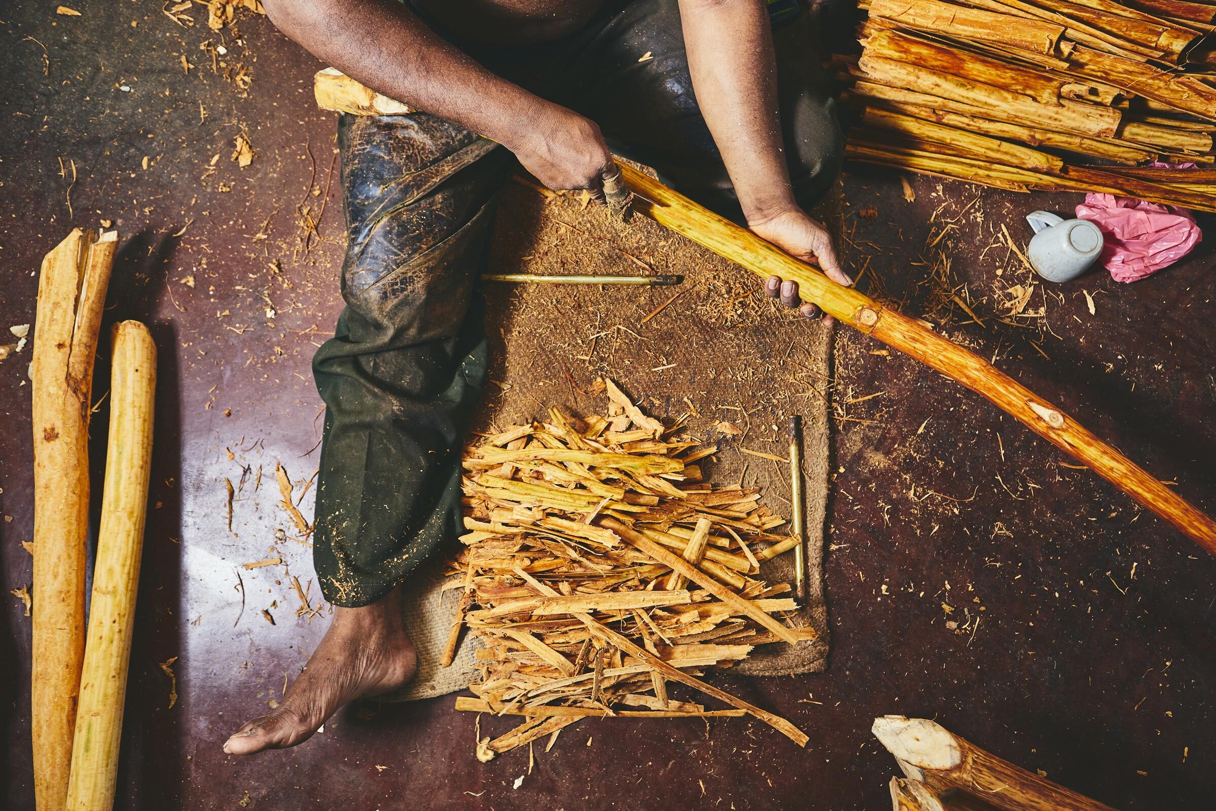 Cinnamon-Producing